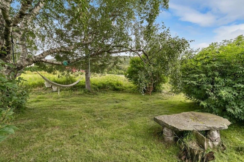 Farmroom With Sauna And Aurora Narvik Ngoại thất bức ảnh